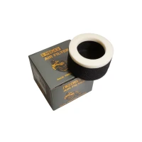 EMGO 2026/02 ФІЛЬТР ПОВІТРЯ YAMAHA XV 125 '97-'01, XV 250 VIRAGO '89-'90, V-STAR '88-'18 (OEM: 2UJ-14451-00; 4RF-14451-00) (GABKOWY)