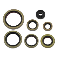 NAMURA 2026/01 КОМПЛЕКТ (НАБІР) УЩІЛЬНЮВАЧІ SILNIKOWYCH KTM SX / EXC 250 '17-'24, XC-W 250 / 300 '17-'23, HUSQVARNA TC 250 '17-'24, TE 250 / 300 '17-'24, TX 300 '17-'24, GAS GAS EC 250 / 300 '21-'23, MC / EX 300 '21-'24