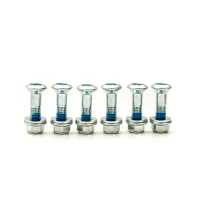 ACCEL КОМПЛЕКТ БОЛТІВ ЗІРОЧКИ ЗАДНЬОЇ Z NAKRETKAMI (6 ШТУКИ.) M8X32MM (З КОЛОДКАМИ)