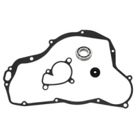 SIXTY5 ВОДИ НАСОС РЕМОНТ KIT RM250 01-08