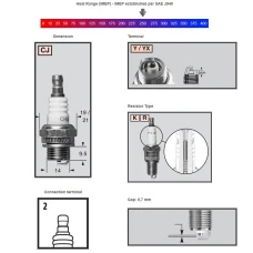CHAMPION SPARKPLUG RCJ6Y