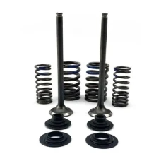 PSYCHIC 2025/05 КЛАПАНИ SSACE (КОМПЛЕКТ КЛАПАНІВ ZE SPREZYNAMI I PODKLADKAMI) HONDA CRF 250 F '19-'24 СТАЛЬ