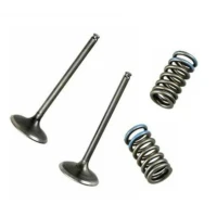 WOSSNER КЛАПАНИ SSACE (КОМПЛЕКТ 2 ШТУКИ. КЛАПАНІВ ZE SPREZYNAMI) HONDA CRF 250 R '04-'07, CRF 250 X '04-'17 (СТАЛЬ)