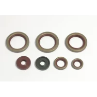 ATHENA 2026/09 КОМПЛЕКТ УЩІЛЬНЮВАЧІ OLEJOWYCH ДВИГУНА KTM 690 DUKE / R '08-'15, 690 ENDURO / R '08-'18, SMC 690 / R '08-'17, 690 SUPERMOTO '07-'09, RALLY FACTORY REPLICA 690 '07-'11