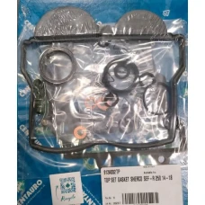 CENTAURO УЩІЛЬНЕННЯ TOP-END GASKET SHERCO SEF-R250 14-18