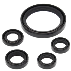 WINDEROSA (VERTEX) КОМПЛЕКТ (НАБІР) УЩІЛЬНЮВАЧІ SILNIKOWYCH YAMAHA YFZ450R 09-19, YFZ450X 10-11