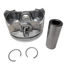 VERTEX ПОРШЕНЬ HONDA TRX 680/PIONEER 700 '06-'21, (101,96MM) (STD.)