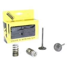 PROX СТАЛЬ ВПУСКНИЙ VALVE/SPRING KIT RM-Z250 '07-23