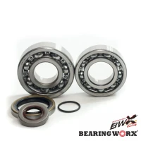 BEARING WORX ПІДШИПНИК ВАЛУ КОЛІНВАЛА Z USZCZELANIACZAMI GAS GAS EC 200/250/300 '10- (NTN) (MADE IN JAPAN)