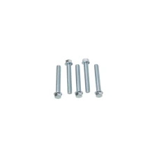 ACCEL БОЛТ KOLNIERZOWA M6X40MM Z PLASKIM LBEM БЕЗ OZNACZEN (5 ШТУКИ.)