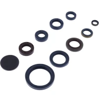 ATHENA 2026/01 КОМПЛЕКТ (КОМПЛЕКТ) УЩІЛЬНЮВАЧІ SILNIKOWYCH CAGIVA T4 500 '87-'90, T4 350 R '87-'91, T4 MILITARE / W12 350 '91-'93, TA 500 E / R '87-'90