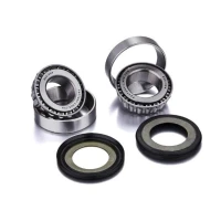 FACTORY LINKS 2026/01 ПІДШИПНИК GLOWKI РАМИ Z USZCZELNIACZAMI GAS GAS EC 125 / 200 '06-'15, EC 250 '06-'19, EC 300 '06-'14, RIEJU MR 250 '21-'25, MR 300 '21-'25 (22-1056)