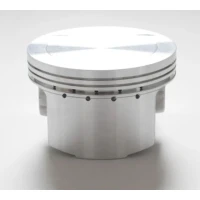OMP ПОРШЕНЬ YAMAHA XT 600 (XT600) TT600 (TT600), YFM 600 (YFM600) GRIZZLY (84-03) +1,00 (96 MM)