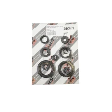 BEARING WORX 2023/04 КОМПЛЕКТ (НАБІР) УЩІЛЬНЮВАЧІ SILNIKOWYCH HONDA CRF 450R '02-'06 (822178)