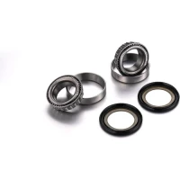 FACTORY LINKS 2025/02 ПІДШИПНИК GLOWKI РАМИ Z USZCZELNIACZAMI HUSQVARNA WR 125 / 250 / 300 '08-'13, TC 250 '04-'13, TE / TXC 250 '08-'13, TE 310 '08-'13, TC / TXC / TE 450 '08-'13, SMR / TC / TE / TXC '08-'13 (22-1061)