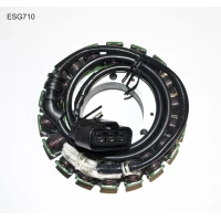 ELECTROSPORT UZWOJENIE ГЕНЕРАТОР (STATOR) TRIUMPH ROCKET 3 (05-10)