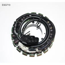 ELECTROSPORT UZWOJENIE ГЕНЕРАТОР (STATOR) TRIUMPH ROCKET 3 (05-10)