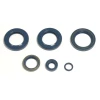 ATHENA КОМПЛЕКТ (НАБІР) УЩІЛЬНЮВАЧІ SILNIKOWYCH KTM LC4 EGS400\/620`96-98, LC4-E400`98-02, LC4 620`96-01 - зображення 1