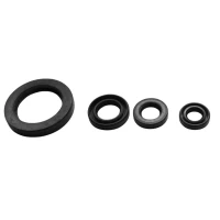 TOURMAX КОМПЛЕКТ (НАБІР) УЩІЛЬНЮВАЧІ SILNIKOWYCH YAMAHA XV 500SE, XV535 '90-'03 (MADE IN JAPAN)