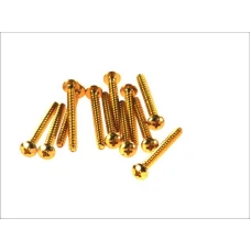 V PARTS (VICMA) КОМПЛЕКТ БОЛТІВ ВІТРОВИКИ M5X50 (12SZT.) КОЛІР ЗОЛОТИЙ (RC550OR)
