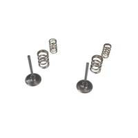 WISECO КОМПЛЕКТ. КЛАПАНІВ SSACYCH + ПРУЖИНИ KAWASAKI KX 450F '09-'10