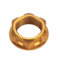 ACCEL ГАЙКА ВЕРХНЯ ПОЛКИ KAWASAKI KX/KXF, SUZUKI RMZ 250 '04-'06, DRZ 400 КОЛІР ЗОЛОТИЙ