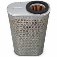 BIKETEC ФІЛЬТР ПОВІТРЯ HONDA CBF 1000 '06-'10 (SC58) (OEM-17210-MFA-D00) (12-91180) (H1217)