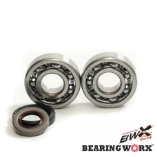 BEARING WORX ПІДШИПНИК ВАЛУ КОЛІНВАЛА Z USZCZELNIACZAMI GAS GAS EC 125 '10- (NTN) (MADE IN JAPAN)