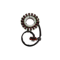 ELECTROSPORT 2025/02 UZWOJENIE ГЕНЕРАТОР STATOR POLARIS RZR 1000