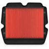 BIKETEC ФІЛЬТР ПОВІТРЯ HONDA GL 1800 '01-'17, GL 1800B F6B '13-'16 , F6C '14-'16  (12-90050) (H1209) - зображення 1