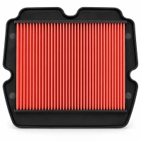 BIKETEC ФІЛЬТР ПОВІТРЯ HONDA GL 1800 '01-'17, GL 1800B F6B '13-'16 , F6C '14-'16  (12-90050) (H1209)
