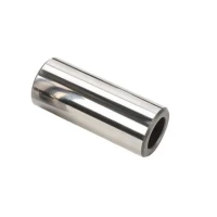 WOSSNER 8/5000 БОЛТ TLOKOWY (22X63X14MM) (ВАГА 100 GRAMOW)