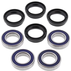 ALL BALLS ПІДШИПНИК КОЛЕСА ЗАДНЬОГО Z USZCZELNIACZAMI YAMAHA YFM 660 (02)