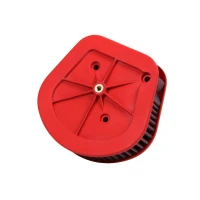 ПОВІТРЯНИЙ ФІЛЬТР BMC HARLEY DAVIDSON SOFTAIL 1750 '18-'20