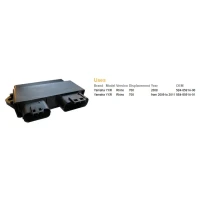 DZE МОДУЛЬ / БЛОК УПРАВЛІННЯ ДВИГУНА ECU YAMAHA YXR 700 RHINO '08-'11 (OEM 5B4-8591A-00, 5B4-8591A-01)