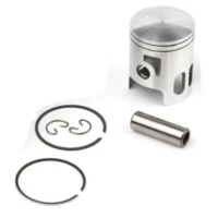 AIRSAL ПОРШЕНЬ KIT (301-1009)