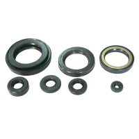 TOURMAX КОМПЛЕКТ (НАБІР) УЩІЛЬНЮВАЧІ SILNIKOWYCH HONDA CB 650B/C/SC/Z '79-'83 (MADE IN JAPAN)