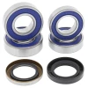 ALL BALLS ПІДШИПНИК КОЛЕСА ЗАДНЬОГО Z USZCZELNIACZAMI BMW G650X '06-'07 - зображення 2
