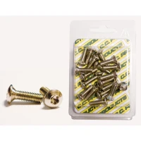 CC ГВИНТИ ТОРМОЗА ДИСКА STOZKOWE M6/18MM (20SZT.) TORX T-30;10,9 HRC (1083-11) (CC PRODUCTS)