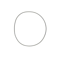 ATHENA 2026/01 ПРОКЛАДКА КРИШКИ КОМПЛЕКТА СЦЕПЛЕННЯ (ЗОВНІШНЯ) (O-RING NBR) (164,70 X 169,94 X 2,62MM) HUSQVARNA SMR / TC 310 '09-'10, SMR / TC / TE / TXC 450 / 510 '03-'10, SWM RS 300 / 500 R '16-'20 (OEM: 800086878)