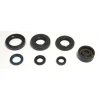 ATHENA КОМПЛЕКТ (НАБІР) УЩІЛЬНЮВАЧІ SILNIKOWYCH YAMAHA YZ 80 93-01 - зображення 1