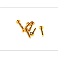 V PARTS (VICMA) КОМПЛЕКТ БОЛТІВ ВІТРОВИКИ M5X30 (6SZT.) КОЛІР ЗОЛОТИЙ (IMBUSOWA PLASKA)(TA530OR)