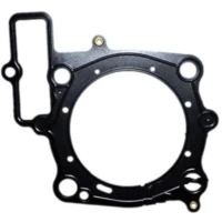 ATHENA ПРОКЛАДКА ПІД ГБЦ ( ГБЦ ) APRILIA SXV/RXV 550 06-15