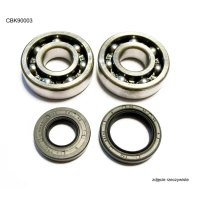 BEARING WORX ПІДШИПНИК ВАЛУ КОЛІНВАЛА Z USZCZELNIACZAMI YAMAHA YZ 125 01-04 (NTN) (MADE IN JAPAN) (24-1025)
