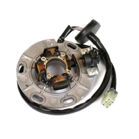 ELECTREX UZWOJENIE ГЕНЕРАТОР (STATOR) YAMAHA YZ 250 '99-'02
