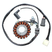 ELECTROSPORT UZWOJENIE ГЕНЕРАТОР (STATOR) APRILIA ATLANTIC 300, PIAGGIO 125/300 BEVERLY / MP3, VESPA GTS 125/300