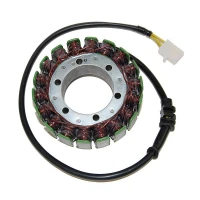 ELECTROSPORT UZWOJENIE ГЕНЕРАТОР (STATOR) HONDA VT 1100 SHADOW '85-'07, VT 800C '88