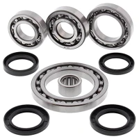 ALL BALLS КОМПЛЕКТ РЕМОНТУ ДИФЕРЕНЦІАЛУ ЗАДНЬОГО SUZUKI LT-A500F QUAD MASTER (01), LT-F500F '01-'02
