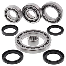 ALL BALLS КОМПЛЕКТ РЕМОНТУ ДИФЕРЕНЦІАЛУ ЗАДНЬОГО SUZUKI LT-A500F QUAD MASTER (01), LT-F500F '01-'02