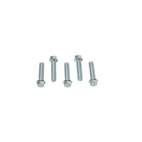 ACCEL БОЛТ KOLNIERZOWA M6X25MM Z PLASKIM LBEM БЕЗ OZNACZEN (5 ШТУКИ.)